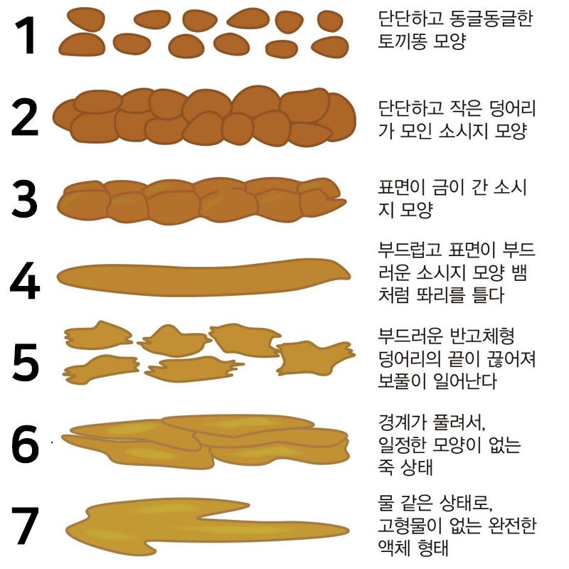 [31개월 아기 배변 훈련] 29일째 / 그동안의 변화 6
