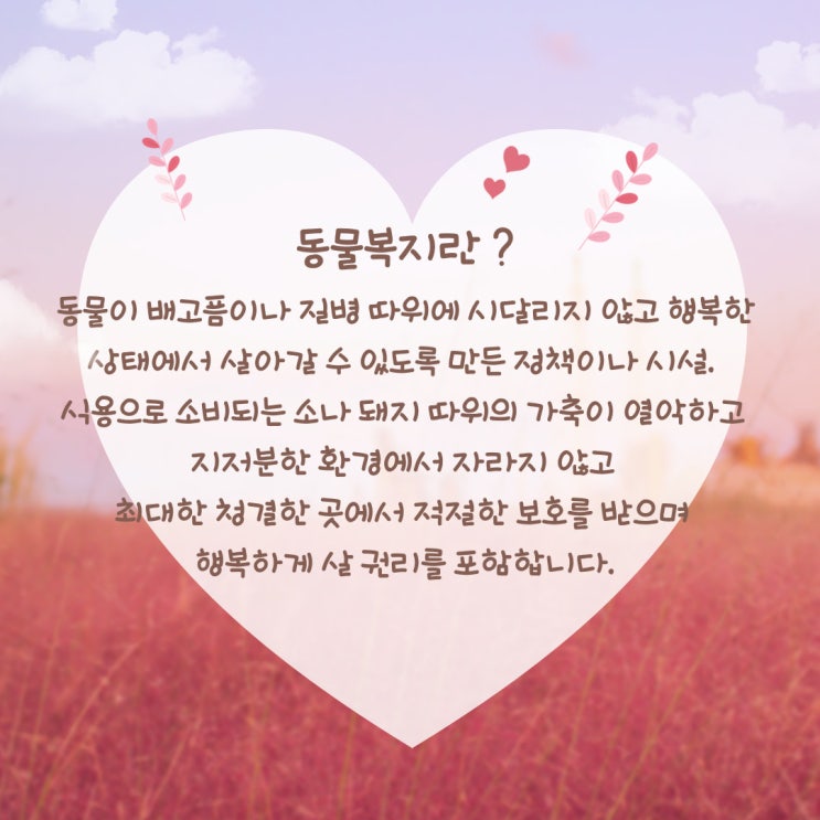  [동물복지-동물복지제품]-용어정리 제대로 익히면서 명언들도 같이 곁들여 익혀보기!