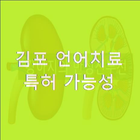 김포 언어치료 특허 가능성