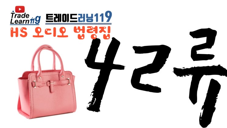  HS 42류] 어려운 HS 들으면서 외우자!! 2022년 HS, 관세율표 오디오 법령집_42류