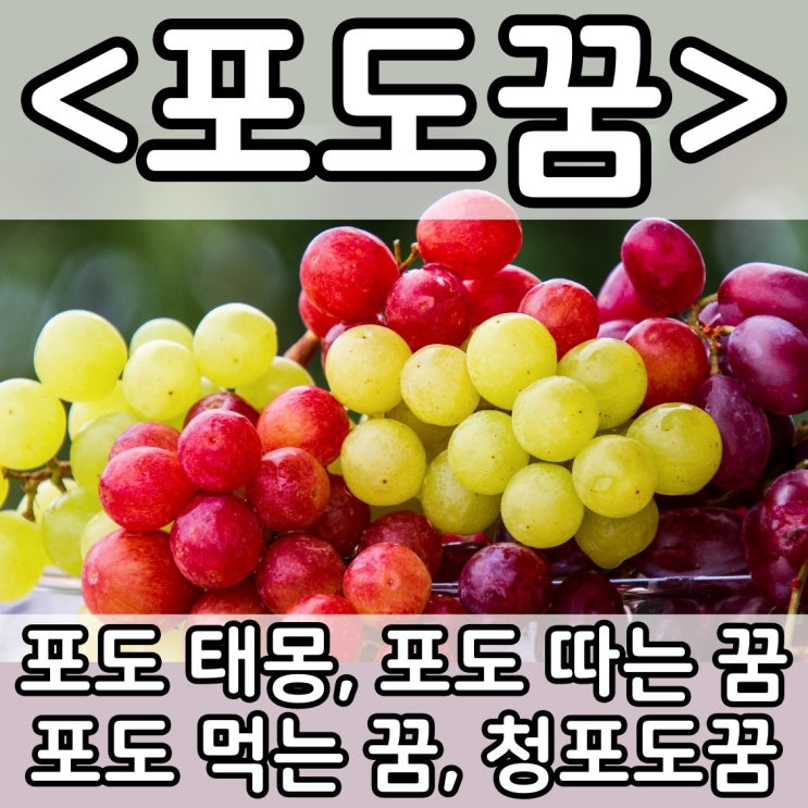  [쉬운 꿈해몽] 포도꿈 :: 포도 태몽, 청포도꿈, 포도 따는 꿈, 포도 먹는 꿈