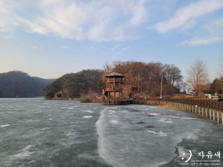 원주 연세대 산책코스로 흥업저수지 둘레길(매지 저수지) 데이트하기 좋아요