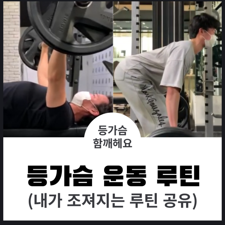  현재 등ㆍ가슴 운동 루틴 (몸이 뻠삥됩니다)