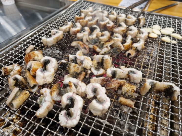  [별내맛집][장어의꿈] 20년장어인생 가성비 젤 좋은 집