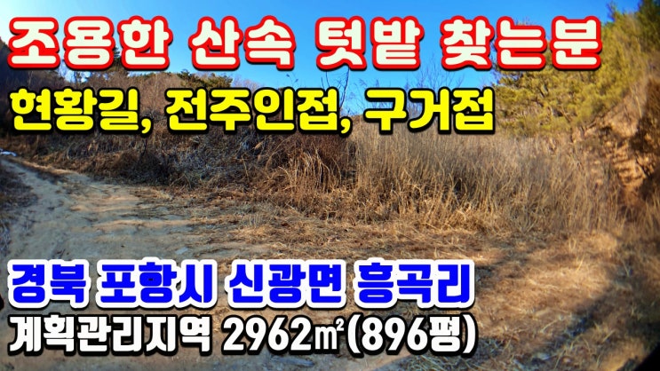 포항토지매매  포항부동산 조용한 산속 신광면 흥곡리 2962(896평)