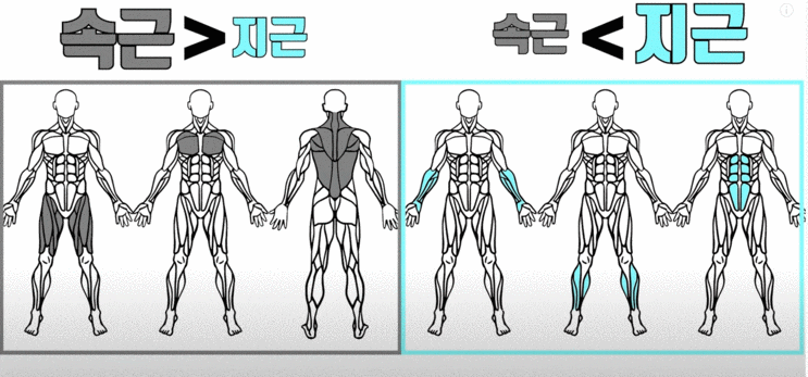  [경성대PT/경성대피티 유니크짐] 근성장을 위해 어떻게 운동을 해야될까?? 근섬유에 대해 제대로 알고 운동하자.