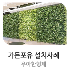  그린오피스 우아한형제 [가든포유 설치사례] #가든포유 #벽면녹화 #수직정원 #스마트가든 #그린월 #바이오월 #그린오피스 #그린스쿨 #플랜테리어