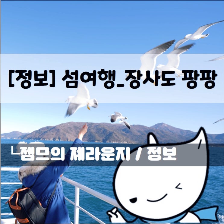  <거제도 겨울여행> 장사도 동백꽃보러갈 때 배 편 예약팁!