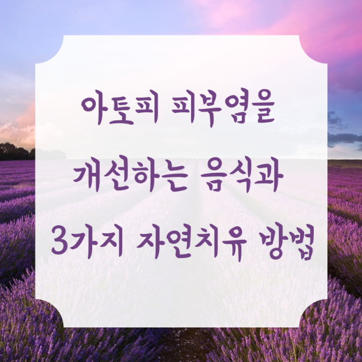  [의사의 반란] 아토피 피부염을 개선하는 음식과 3가지 자연치유 방법