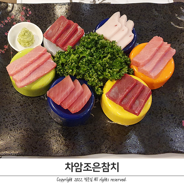 차암조은참치 내돈내산 솔직후기 차암조은참치 내돈내산 솔직후기