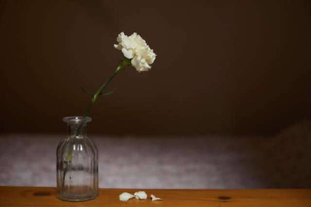 "10년 넘게 옆집 살아도 누군지..." 가난보다 고립이 부른 죽음, 고독사 "10년 넘게 옆집 살아도 누군지..." 가난보다 고립이 부른 죽음, 고독사