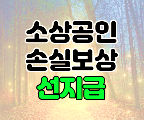손실보상선지급kr 소상공인 지원금 500만원 온라인 신청 손실보상선지급kr 소상공인 지원금 500만원 온라인 신청