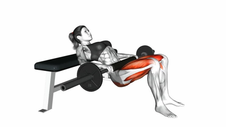  [운동일지] 불광 에이블짐 개인PT - 9회차 (LEG PRESS, HIP THRUST&DONKEY KICK, 스텝업&케틀벨 스윙)