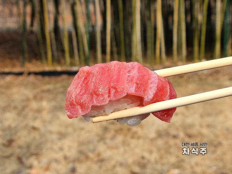 대전 괴정동맛집 일식 초밥어선생 포장 후기
