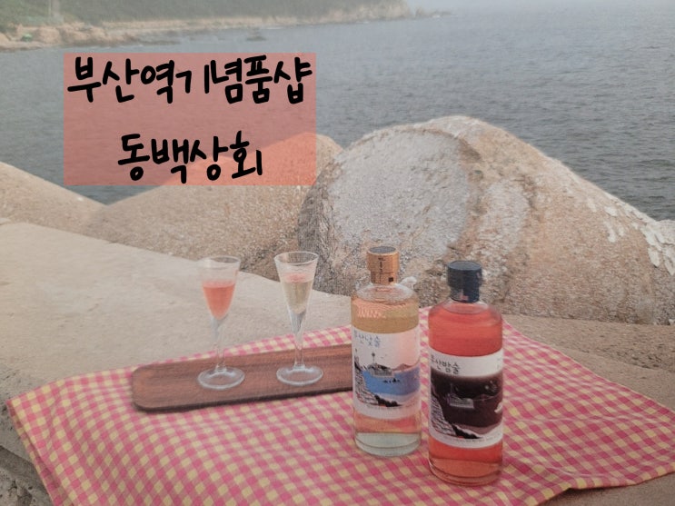 부산기념품 / 부산역기념품샵 동백상회 (feat.동백전 카드발급)