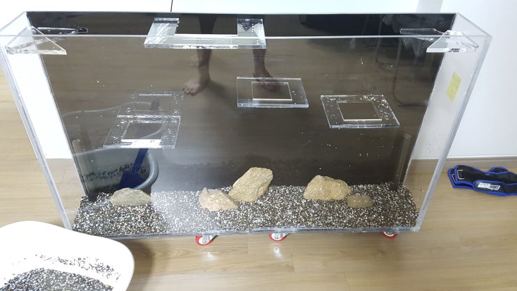  아크릴 대형 수조 자작! 4탄(설치 및 세팅)