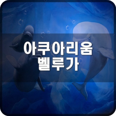  롯데월드 아쿠아리움 B1 B2층에 있는 벨루가 존에서 벨루가 관람해요.