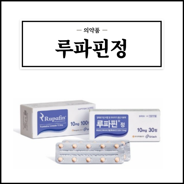  루파핀정, 효능효과/복용법/부작용/주의사항 등 간단정리