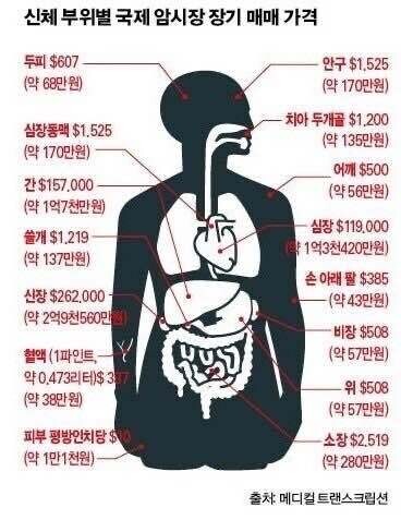  장기투자는 무조건 승리한다