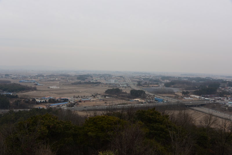이리고은 이미지