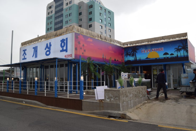  [속초맛집] 나혼자산다 출연 속초조개구이  뷰맛집 조개상회