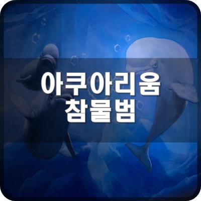  롯데월드 아쿠아리움 B1F 참물범 및 바다사자 생태설명회 하는 장소에 왔어요.