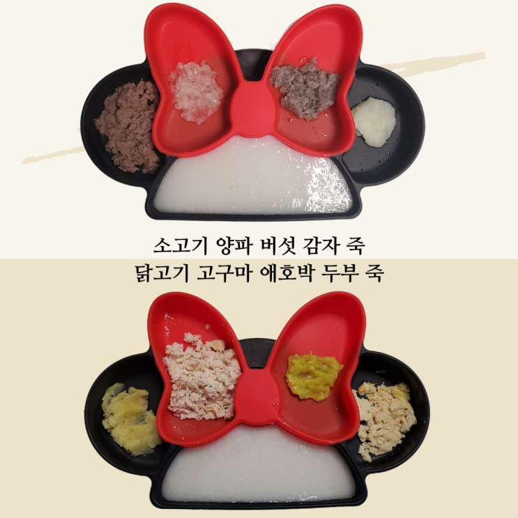  6개월 초기 2단계 이유식 소고기양파버섯죽 닭고기애호박두부죽