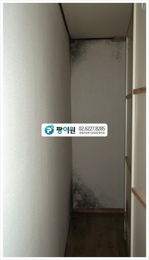  곰팡이제거 업체 비용 궁금 하다!