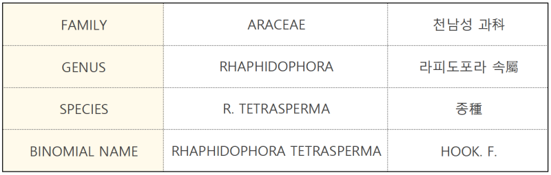 SAFIRA Ultrapokemon tipo Aquático, Venenoso, plasma, planta