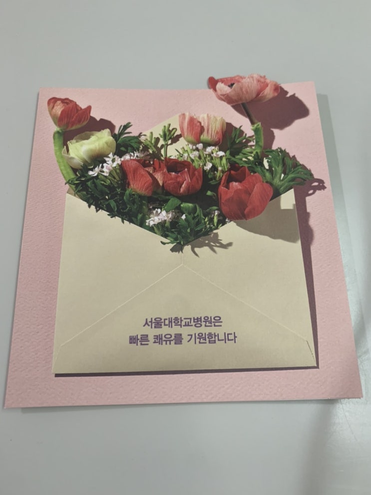  [[서울대학교병원 산부인과]] 난소 물혹 +자궁내막증 그리고 수술