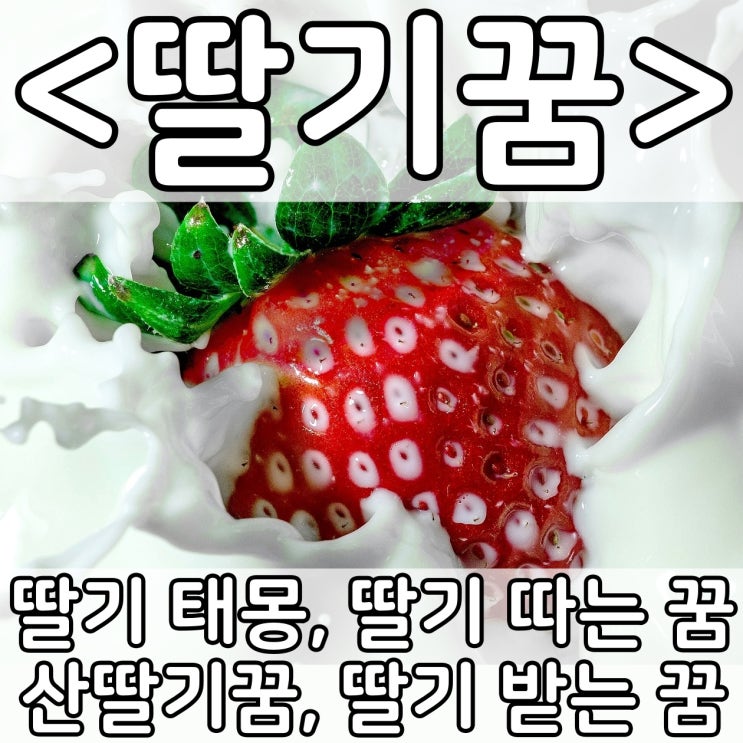  [쉬운 꿈해몽] 딸기꿈 :: 딸기 태몽, 딸기 따는 꿈, 산딸기꿈, 딸기 받는 꿈