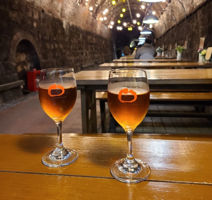 [경북-청도] 와인과 터널 - 와인터널(재방문)