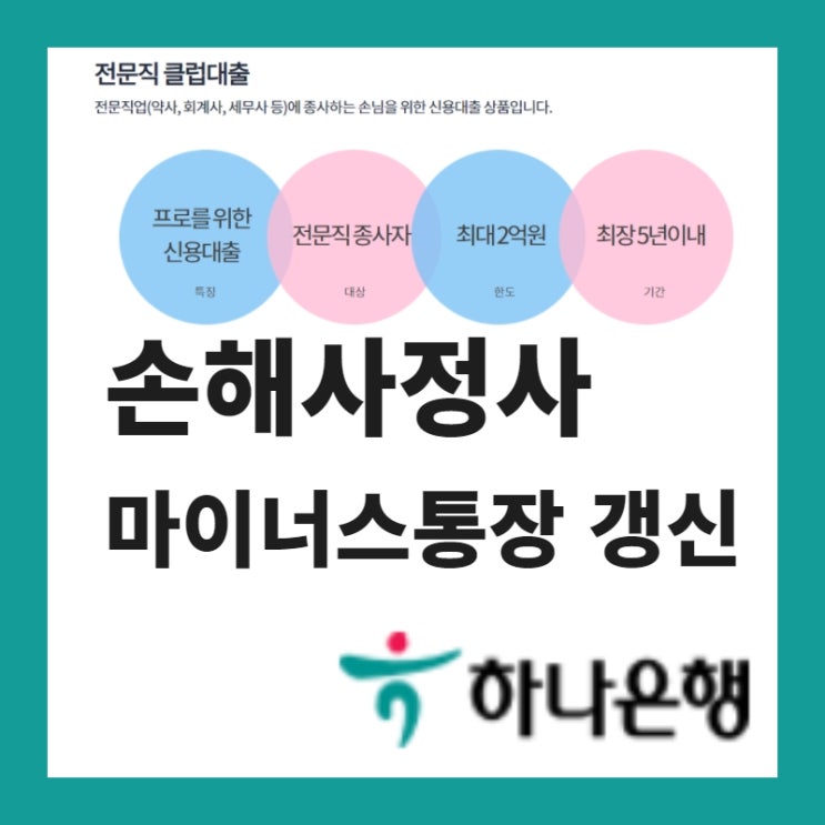  손해사정사 마이너스통장 발급 후 갱신까지(전문직대출)