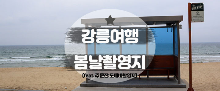 [강릉] BTS 봄날 뮤직비디오 촬영지 & 주문진 도깨비 촬영지