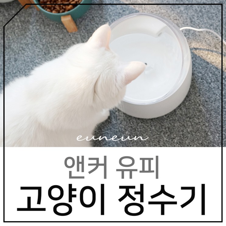 고양이정수기 소음 없는 펫정수기 추천
