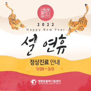  2022년 설 연휴 정상진료 (부산 설날 동물병원, 센텀동물메디컬센터, 수영점, 24시 연산점)