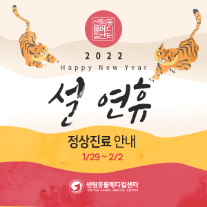 2022년 설 연휴 정상진료 (부산 설날 동물병원, 센텀동물메디컬센터, 수영점, 24시 연산점)