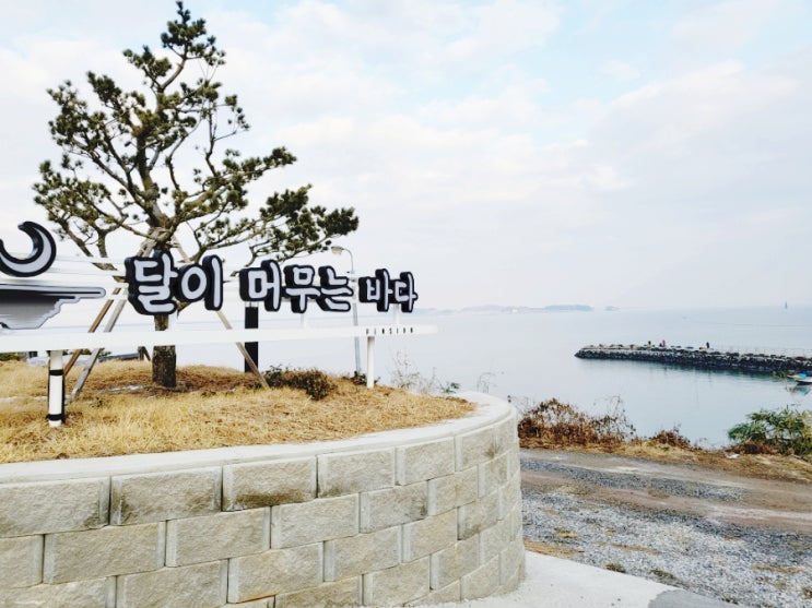  안면도감성숙소 달이 머무는 바다에서 오늘도 좋은 추억 만들기