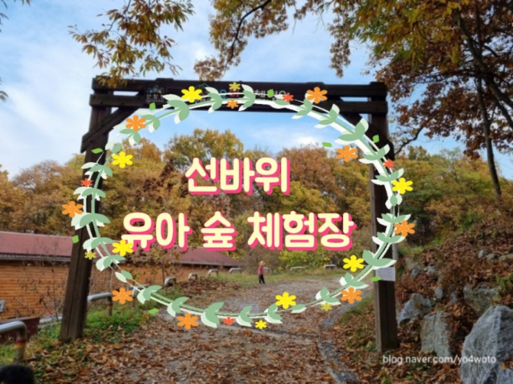  선바위 유아숲체험원 다녀왔어요.