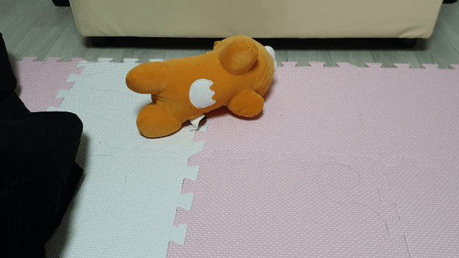 왜그래...캐리... / 말티푸 / 강아지접종