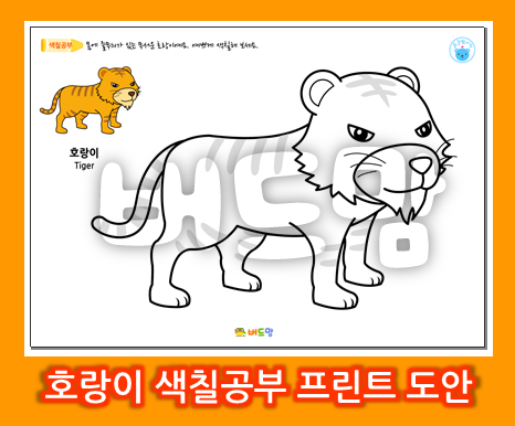 아기 호랑이 색칠하기놀이