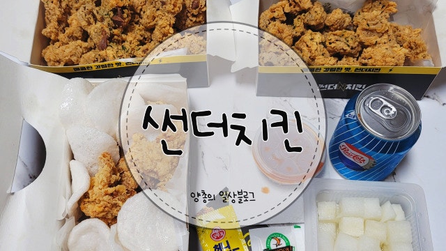 내돈내산) 사이드 메뉴도 맛있는 썬더치킨(with. 닭똥집&순살치킨)