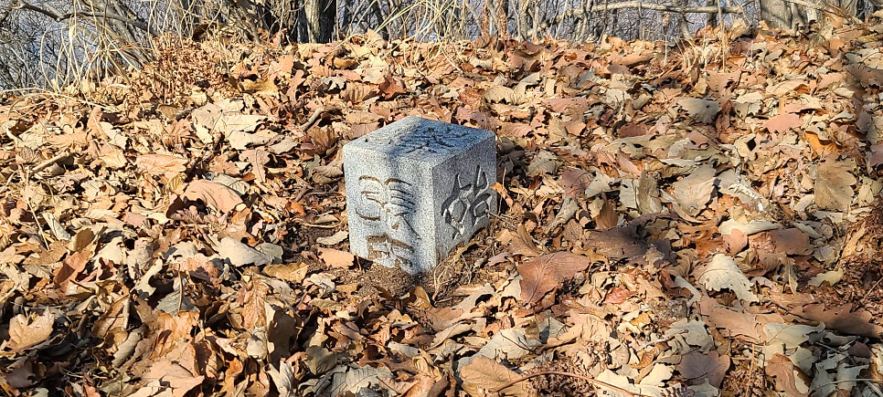 태백이산 사진 4