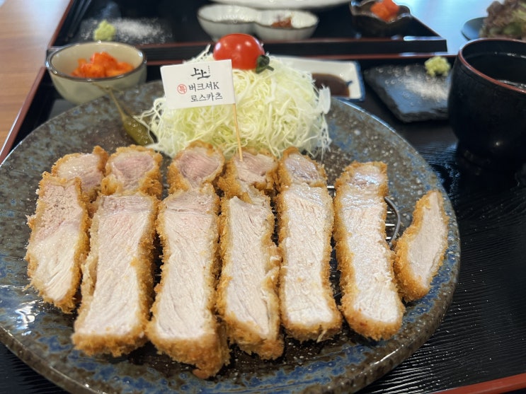 [동탄 센트럴파크 맛집] 세상 부드러운 인생돈까스 '상상카츠' 히레카츠 못 잃어..