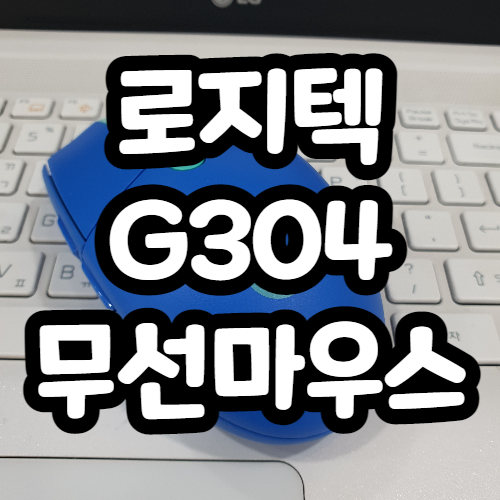  로지텍 G304 무선마우스 파란색 구입
