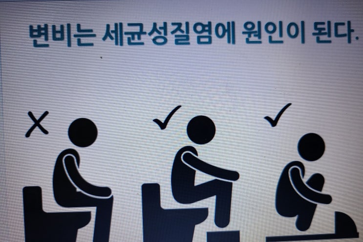  Y-Zone 아로마테라피 (1)