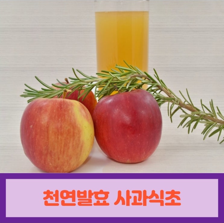  천연발효 사과식초 제대로 만들기