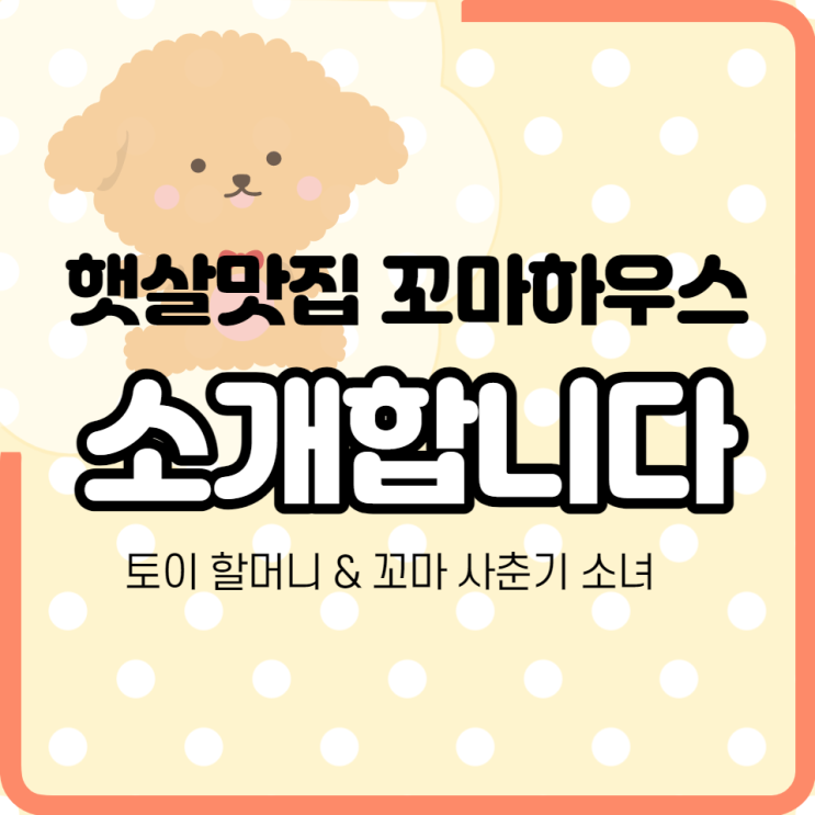  햇살맛집 꼬마 하우스를 소개합니다!(feat. 토이) 반려견 생활, 견주 생활