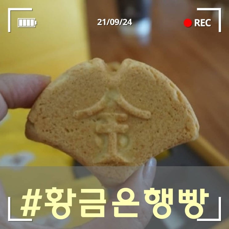  [상인동빵집] 대구 맛집알릴레오 먹방릴레이 오월의아침