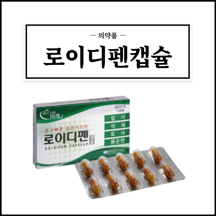  로이디펜캡슐, 효능효과/복용법/부작용/주의사항 등 간단정리